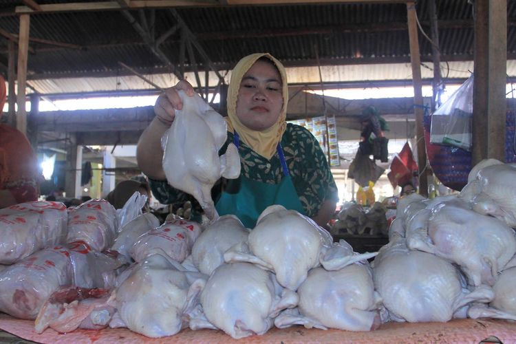 Pedagang ayam pedaging merapikan dagangannya di Pasar Kasih, Naikoten, Kota Kupang, NTT, Selasa (6/9/2022). Beberapa bahan kebutuhan pokok di pasar tersebut mengalami kenaikan harga menyusul naiknya harga BBM seperti telur ayam dari Rp55 ribu per rak Rp65 ribu per rak, sementara ayam pedaging dari harga Rp35 ribu per ekor naik menjadi Rp36 ribu per ekor. ANTARA FOTO/Kornelis Kaha/wsj.