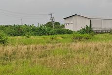 Mayat Tanpa Identitas Ditemukan di Area Sawah Jalan Demak-Jepara, Kondisi Sudah Membusuk