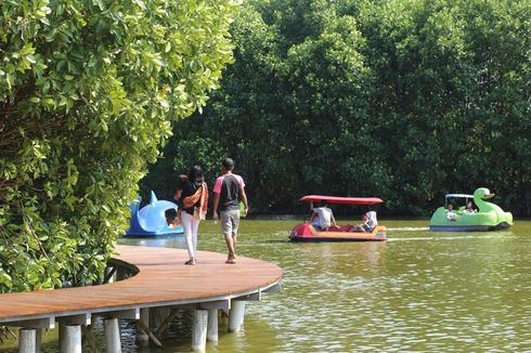 6 Aktivitas Menarik Saat Wisata ke Grand Maerakaca, Jelajah Hutan Mangrove