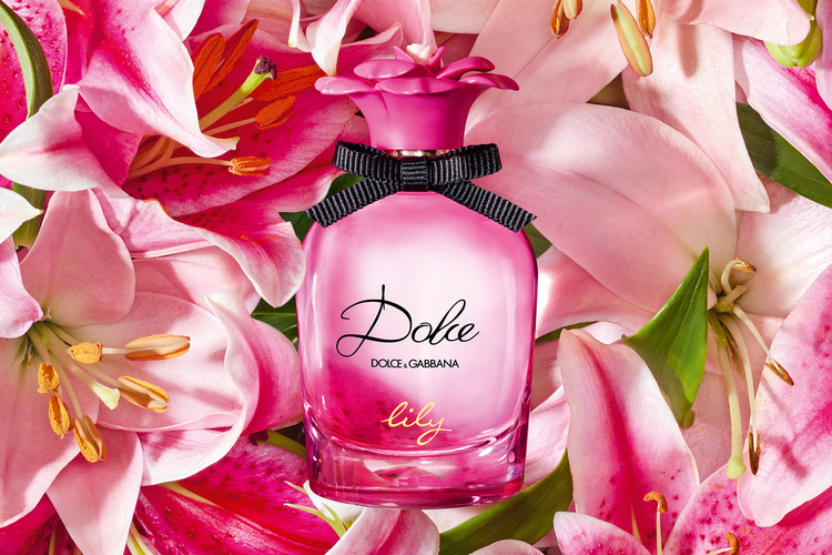 Dolce Lily dari Dolce & Gabbana