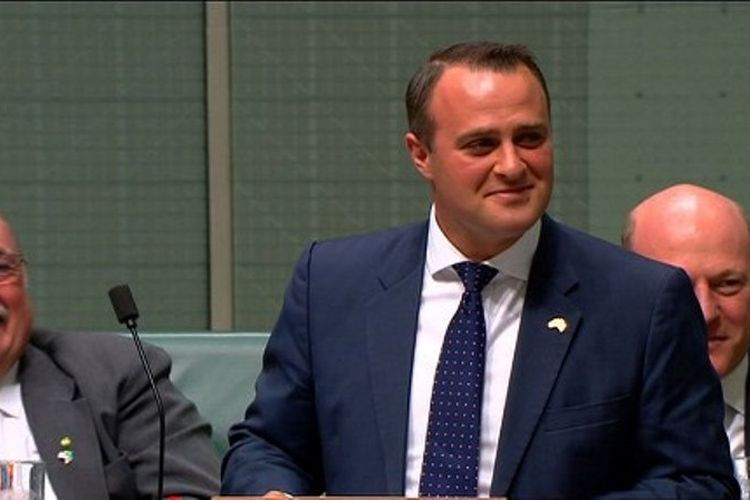 Anggota parlemen Australia, Tim Wilson, ketika melamar pasangannya Ryan Bolger di tengah sidang parlemen Senin (4/12/2017). Australia kini tengah membahas rancangan legalisasi pernikahan sesama jenis