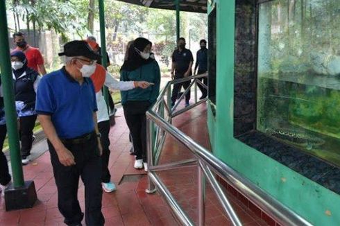 Wapres Ma'ruf Amin Cek Kesiapan Taman Margasatwa Ragunan Hadapi Pengunjung Saat Libur Lebaran