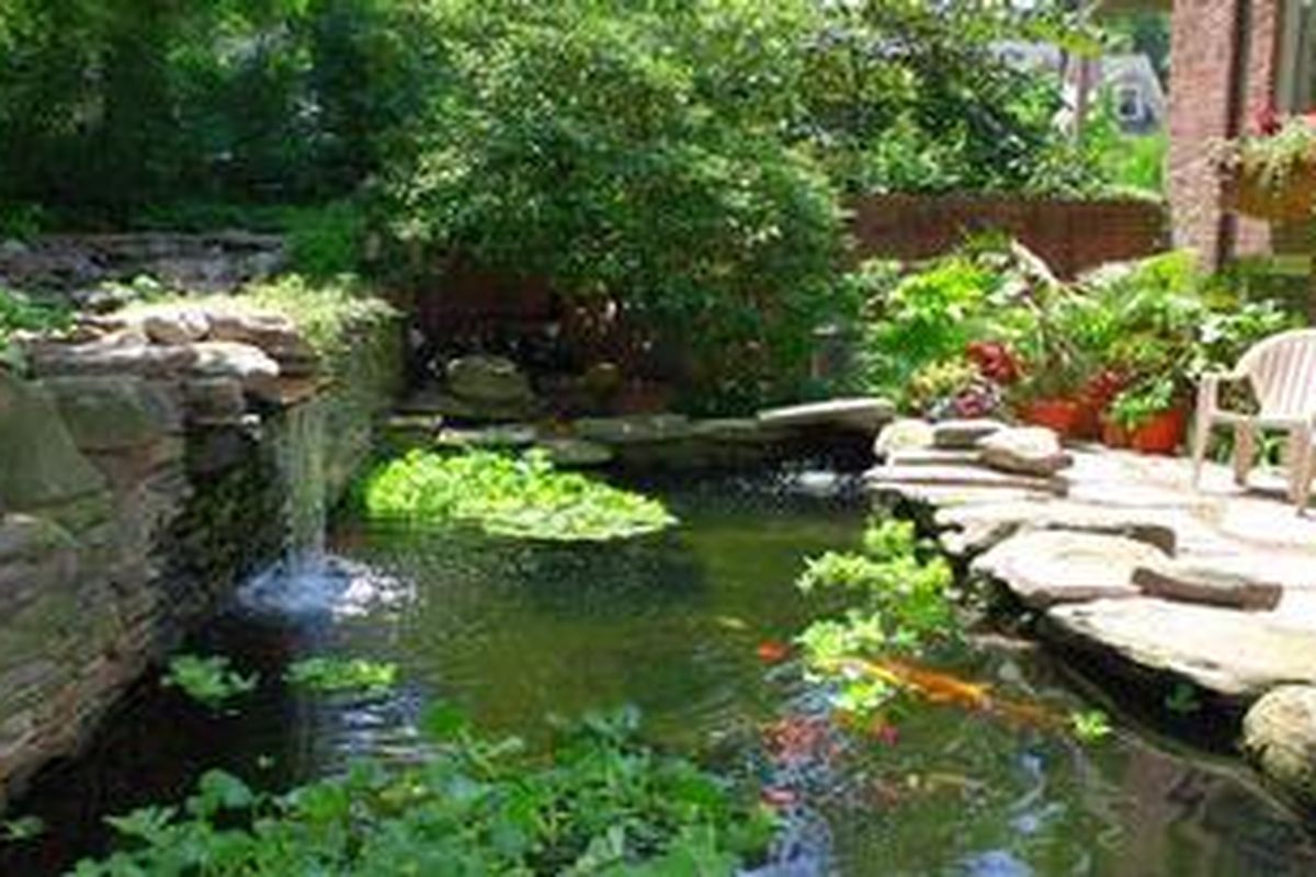 Anda perlu cermat memilih bahan untuk keselarasan kolam dan ikan-ikan di dalamnya agar sedap dipandang.