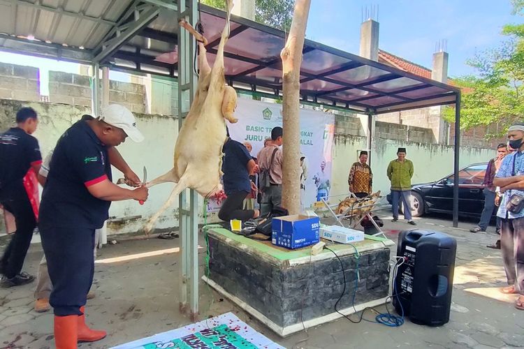 Kemenag Kulon Progo dan Baznas Kulon Progo menyelenggarakan pelatihan dasar menyembelih hewan kurban agar daging bermutu tinggi saat dibagi ke warga di Kabupaten Kulon Progo, Daerah Istimewa Yogyakarta.