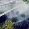Cerita di Balik Video Viral Polisi Matikan Kebakaran Ilalang di Km 49 Tol Japek