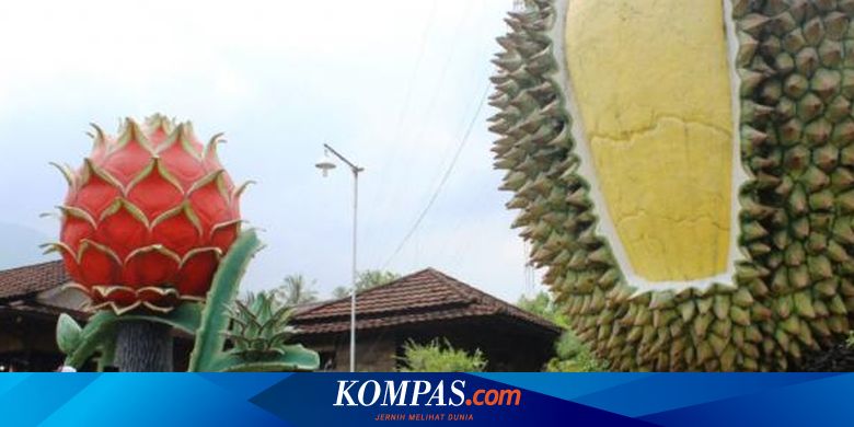 Di 4 Lokasi Ini Anda Bisa Langsung Makan Durian Dari Pohonnya Halaman All Kompas Com