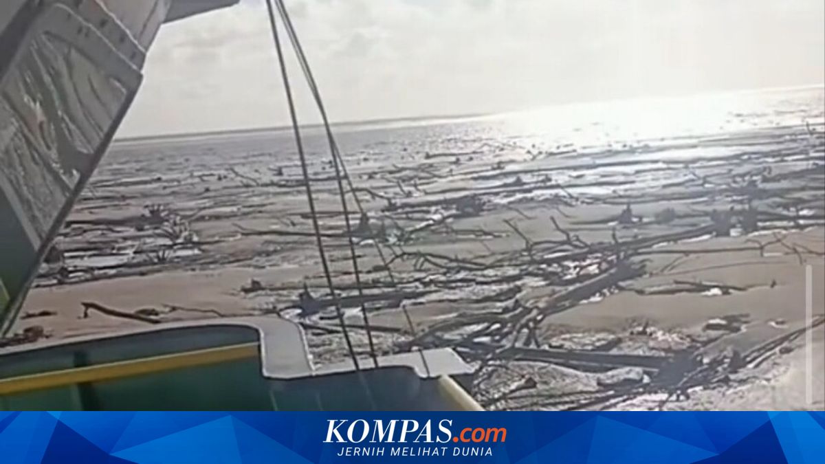 Laut Surut di Medsos Hebohkan Warga, Ternyata Bukan di Kendari!