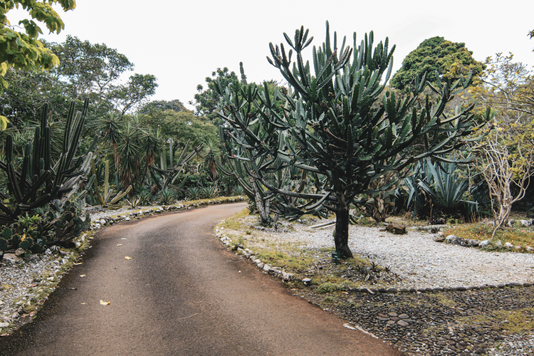 Parque Mexicano de Bogor 