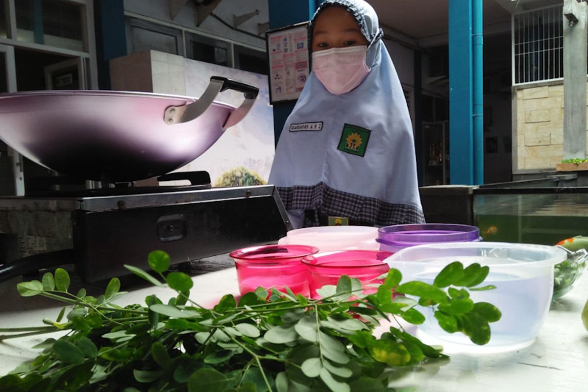 Qarsafah Al Zahliyah Rahmawati Zulkarnain, hendak menunjukkan keahliannya membuat es gabus dari daun kelor.