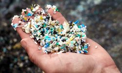 Studi Baru Kaitkan Mikroplastik dengan Serangan Jantung dan Stroke