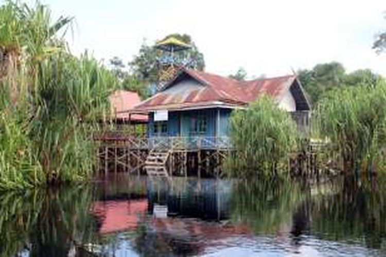 Pos Jaga Sungai Koran di Taman Nasional Sebangau, Kalimantan Tengah.