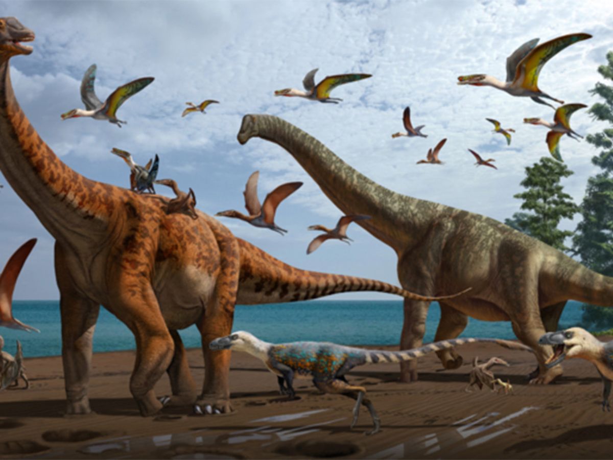 Dua Spesies Dinosaurus Raksasa Baru Ditemukan di Barat Laut China, Hampir  Sebesar Paus Biru