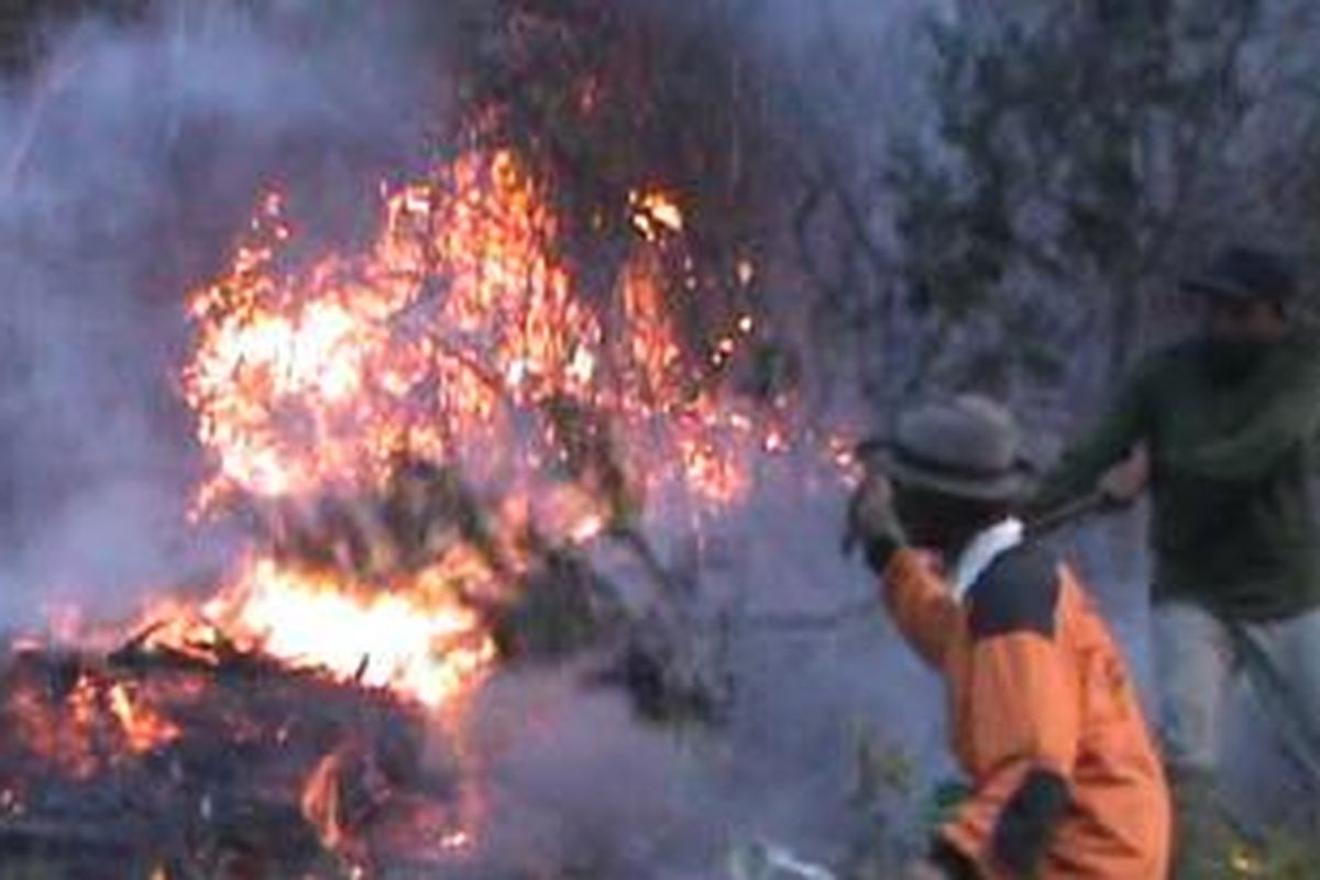 Relawan mencoba memadamkan api di lereng Gunung Lawu, Sabtu (17/10/2015). 
