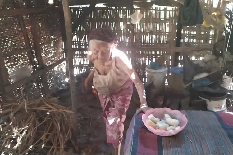 Rabina (92) asal Dusun Bertah, Desa Larangan Luar, Kecamatan Larangan hidup sebatang kara. Ia tinggal di gubuk reot bersama delapan kucing piaraannya. 