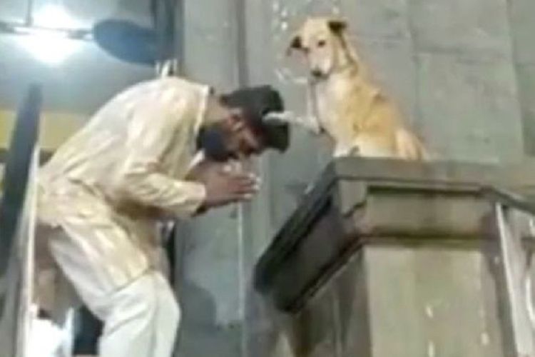 Potongan video yang dibagikan di Facebook memerlihatkan momen lucu seekor anjing memberkati seorang peziarah di kuil Maharashtra, India.