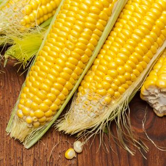 Ilustrasi jagung. 