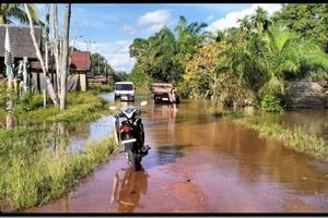 Banjir Mulai Melanda 3 Kabupaten di Kalteng, BMKG Ingatkan Puncak Musim Hujan Akhir Tahun