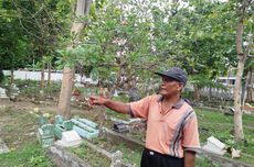 Pengakuan Pembuat Patung Macan di Kediri, Sengaja agar Tak Takuti Anak-anak