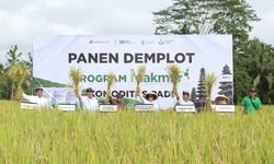 Petrokimia Gresik Bantu Tingkatkan Produktivitas Padi hingga 25 persen