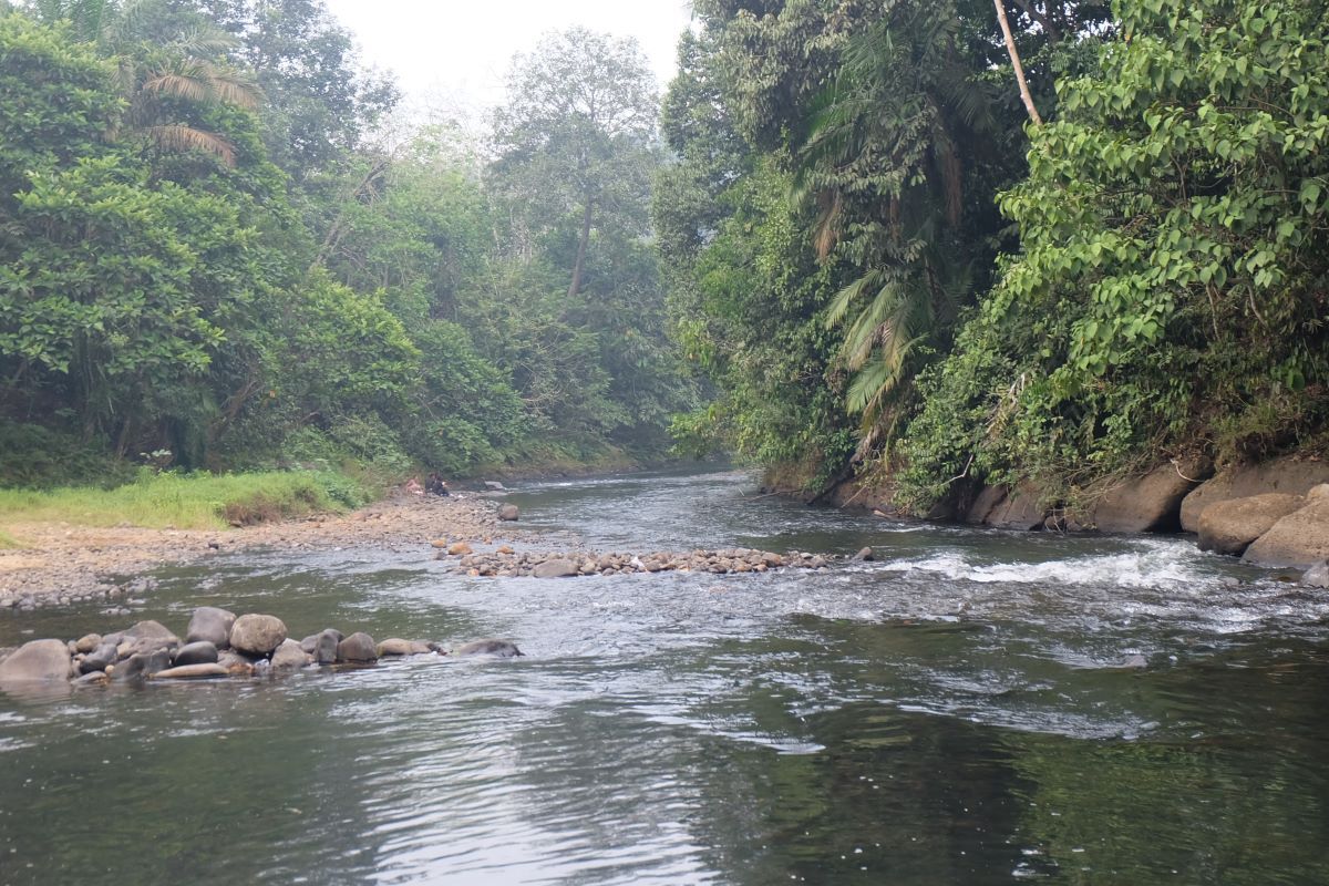 Pemandian Pak Simoan yang menjadi salah satu titik sungai yang dijaga dengan tradisi Lubuk Larangan.