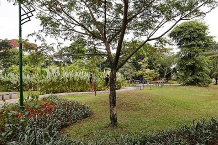 Suasana asri di Taman Matraman di kawasan Kebayoran Baru, Jakarta Selatan, Kamis (25/6). Lokasi taman yang masih tergolong baru itu dulunya adalah area SPBU yang kemudian dikembalikan ke fungsinya sebagai jalur hijau. Taman baru sebagai ruang terbuka hijau (RTH) tumbuh di kawasan Jakarta Selatan.