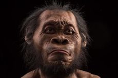 Pertama Kalinya, Ahli Temukan Fosil Anak Homo Naledi di Afrika Selatan