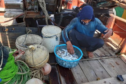 Cerita Nelayan Kendal, Hidup Pas-pasan, Bahkan untuk Makan Kurang