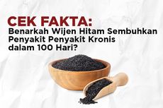 INFOGRAFIK: Benarkah Wijen Hitam Dapat Menyembuhkan Penyakit Kronis?