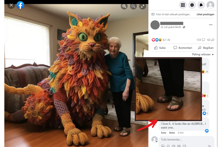 Tangkapan layar kejanggalan gambar rekayasa AI, menampilkan jumlah kaki yang tidak proporsional dari seorang nenek yang berpose dengan boneka rajut berbentuk kucing raksasa.