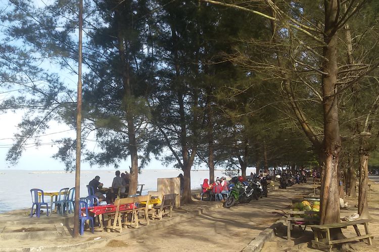 Pantai Pasir Padi di Pangkal Pinang dengan pepohonan cemara laut.