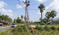 Pasca-gempa Flores, PLN Pulihkan 429 Gardu dan Prioritaskan Pasokan Listrik RS