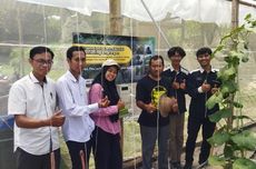 PKM AKB Bantu Kelompok Tani Melon Kediri lewat Teknologi Pemberian Pupuk dan Monitoring Lingkungan