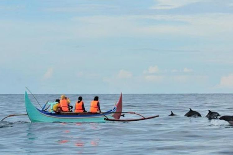 Lumba-lumba di Teluk Kiluan, Lampung.