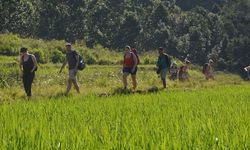 Sektor Pertanian dan Citra Indonesia di Mata Dunia