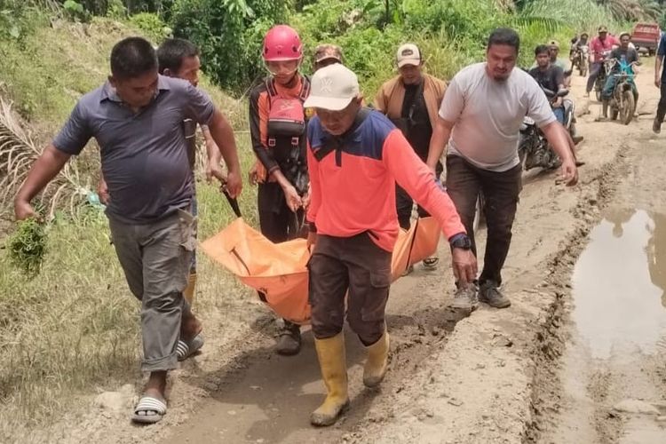 Seberangkan Kerbau, Warga Aceh Timur Tewas Diterkam Buaya 