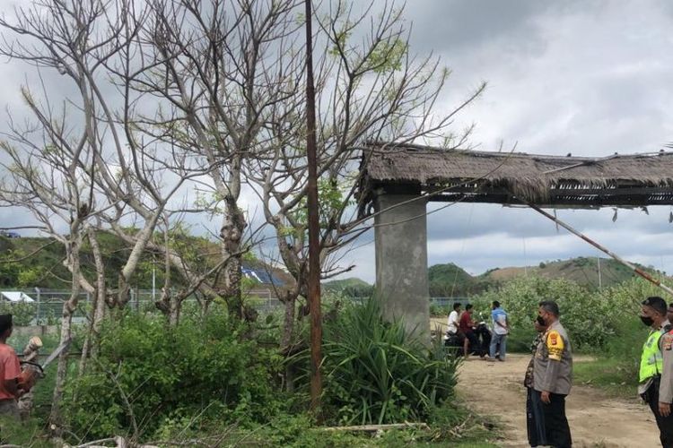 Aparat kepolisian menebang sejumlah pohon di area Sirkuit Mandalika.