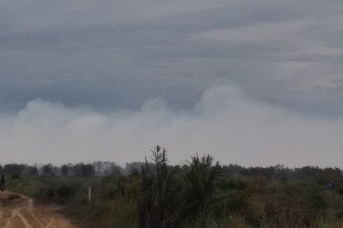 Begini Sulitnya Padamkan Api Karhutla di Tanah Gambut Pelalawan Riau