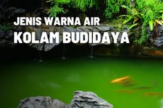 Jenis-jenis Warna Air Pada Kolam Budidaya Ikan