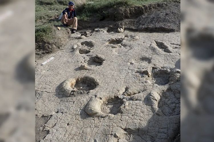 Penampakan Jejak Kaki 70 Cm di Saizhurakh, Bukti Konvoi Dinosaurus 120 Juta Tahun Lalu