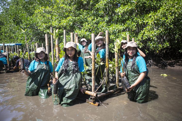 Djarum Foundation bersama puluhan mahasiswa dari berbagai universitas di Bali melakukan penanaman mangrove di Taman Hutan Raya (Tahura) Ngurah Rai, Pamogan, Denpasar Selatan, Bali pada Kamis (19/9/2024) siang.