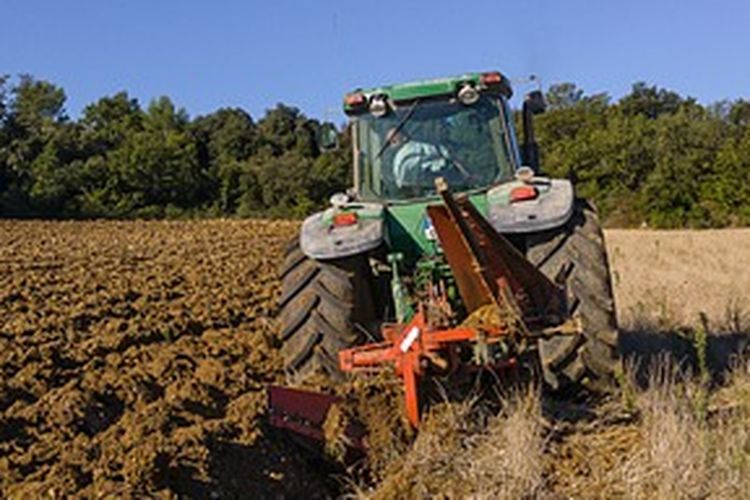 Ilustrasi mengolah lahan menggunakan traktor