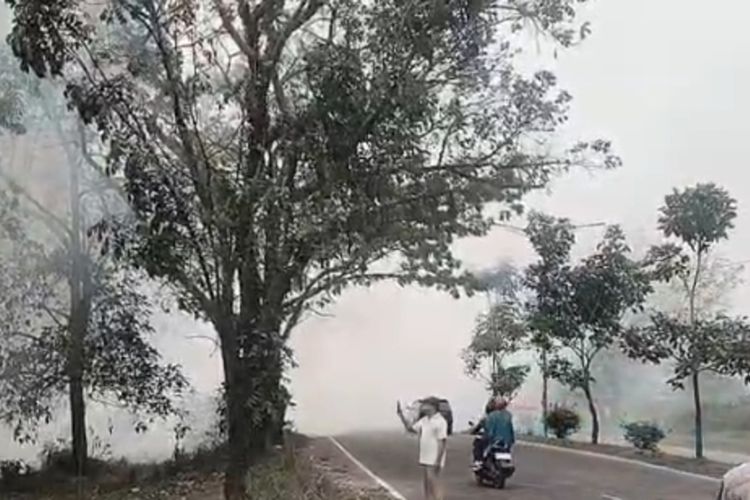 BMKG Catat 213 Titik Panas di Riau, Jarak Pandang Mulai Menurun