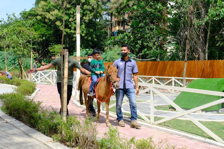 Jan Ethes Srinarendra naik kuda saat diajak keliling Presiden Jokowi di kebun binatang Solo Safari, di Solo, Jawa Tengah, Senin (23/1/2023)