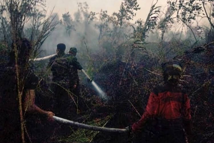 54 Kali Water Bombing Tak Cukup, Api Way Kambas Disisir hingga Malam