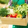 3 IRT Asal Timor Leste Belanja Sayur di NTT untuk Dijual Lagi di Negaranya