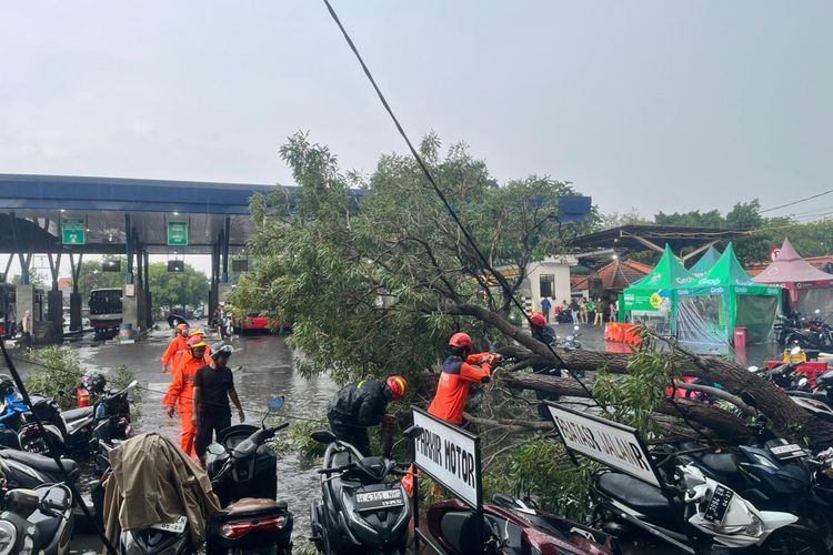 Prakiraan Cuaca Jawa Timur Besok 8 April 2026: Mayoritas Wilayah Diguyur Hujan Ringan