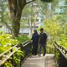 Singapura Buka 3 Taman Terapi Baru, Bisa untuk Lansia dan Anak-anak