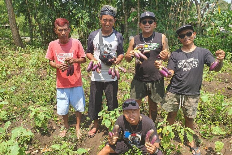 Kisah Petani Punk Gunungkidul: Bertani Organik agar Petani Generasi Muda Tidak Hilang