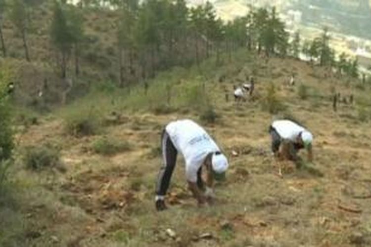 Sebanyak 100 sukarelawan di Bhutan berhasil mencatat rekor dunia baru dengan menanam hampir 50.000 batang pohon hanya dalam waktu satu jam.