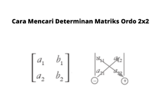 Cara Mencari Determinan Matriks Ordo 2x2